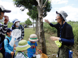 福島潟昆虫はかせとかんさつ会