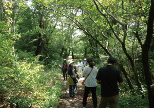 じゅんさい池ガイドブック作成に関する現地調査の様子