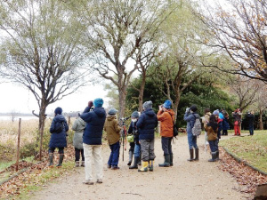 鳥屋野潟市民探鳥会