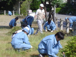 東北電力株式会社新潟営業所－活動中の写真1－活動は20人程が参加します