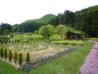 齋藤さんの庭園