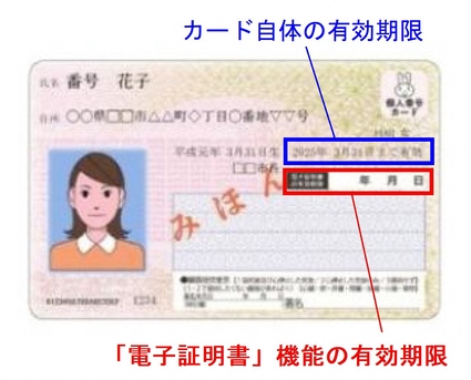 マイナンバーカードの見本