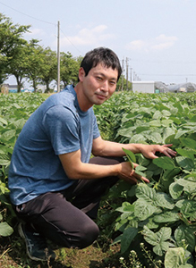 JA新潟みらい　しろね枝豆部会　副部会長　小林　祐樹さんが枝豆畑でしゃがんでこちらを見ている写真
