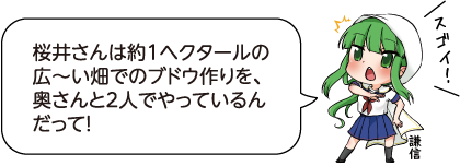 凧っこ13人衆の謙信が驚いて「すごい」とつぶやいているイラスト