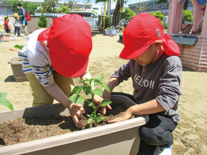 子どもたち2人がプランターに野菜の苗を植えている写真