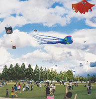 たくさんの凧が揚がっている白根総合公園で、たくさんの人が過ごしている写真