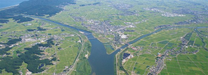 信濃川と大河津分水の分岐点の航空写真