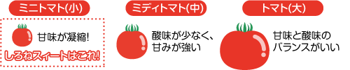 トマトの大きさと種類