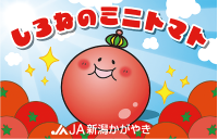 しろねの王様ミニトマトのパッケージの画像