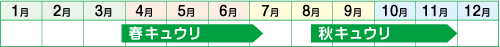 収穫時期