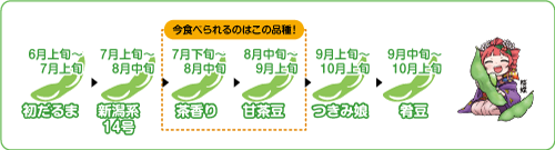 品種リレーの説明イラスト