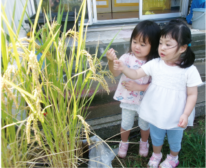稲穂を見る2人の女の子の写真