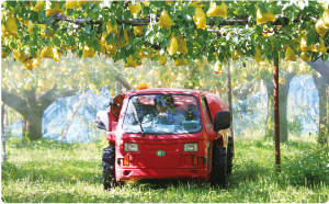 赤い車で薬剤を散布している写真