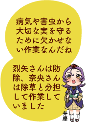 凧っこ13人衆の弁慶が「烈矢さんは防除、奈央さんは除草と分担して作業していました」「病気や害虫から大切な実を守るために欠かせない作業なんだね」と話すイラスト