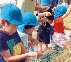 園児が手で脱穀している写真