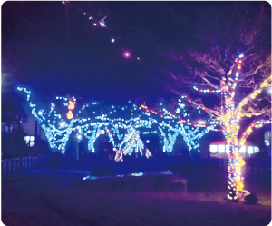 ペットボトルツリーがライトアップされている写真