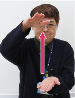 手話通訳者鈴木さんが少し間隔を空けて両手の平をうち側にし、その手を上下日広げている写真