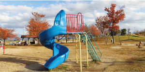 滑り台などの遊具がある昼間の大通ふれあい公園の写真