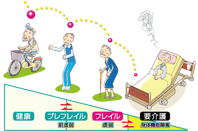 健康な状態からプレフレイル、フレイル、要介護の状態を表したイラスト