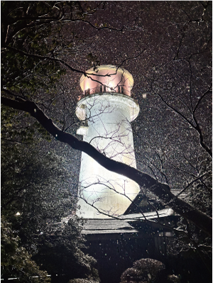 雪が降る夜、白根庭園の木の奥に立つ、てっぺんに灯りが点き浮かび上がる円柱の旧白根配水塔の写真