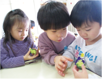 根岸保育園の園児３人がブロッコリーをそれぞれ観察している写真