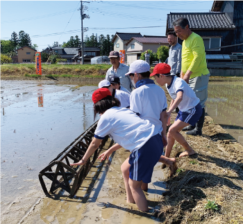 根岸小学校の児童が田植え枠を体験している写真