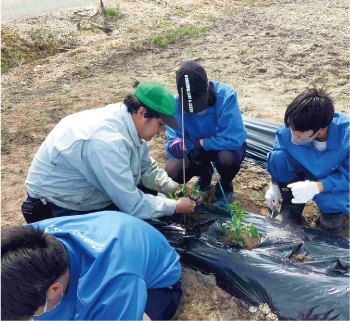 指導を受けながら苗を植える味方中学校の生徒の写真