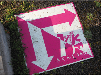 路面標示シートの写真