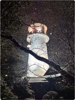 旧白根配水塔がライトアップされている写真