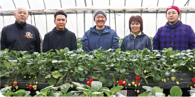 しろねいちご部会のメンバーの写真