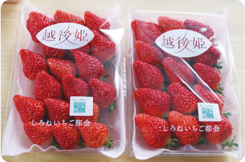 パック詰めされた越後姫の写真