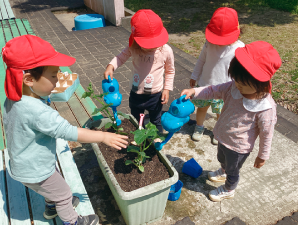園児がジョウロで水をあげる写真