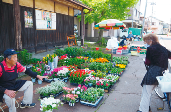 市で売っている花を見ているおばあちゃんの写真