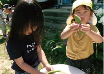 そら豆を持つ園児の写真