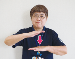 手のひらを下に向けた左手の上に、手のひらを下に向けた右手を構えている写真