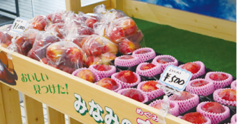 とみやま農園のプラムが陳列されている写真