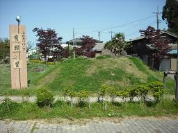 新飯田公園の写真