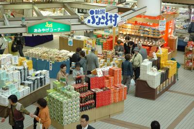 新潟ふるさと村の画像