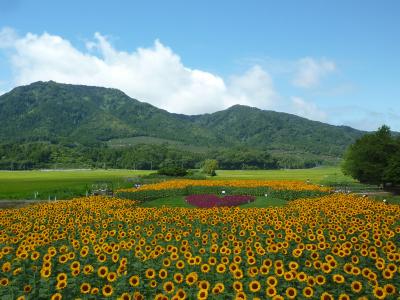 上堰潟公園の写真