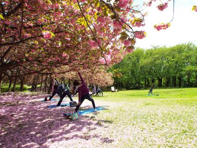 鳥屋野潟公園の写真