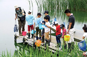 水辺の生きもの観察教室