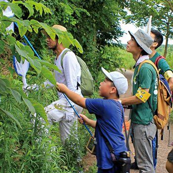 夏休み佐潟昆虫観察会