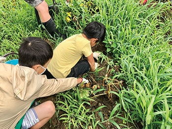 新通南ふれあい農園