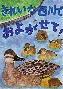 きれいな西川でおよがせて！　筒井楓さん（坂井東小５年）