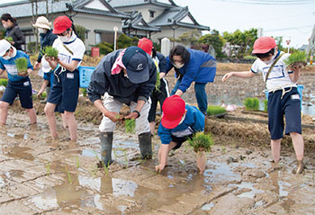 小学生田植え体験