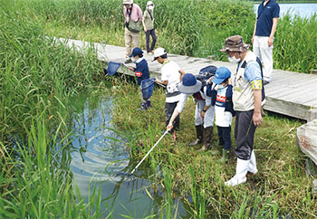 佐潟、水辺の生き物観察教室