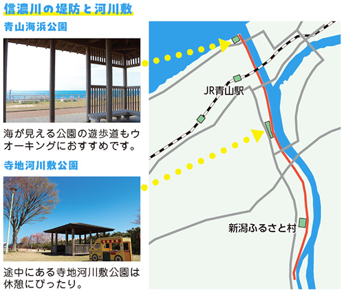 信濃川の堤防と河川敷