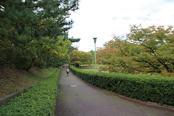 寺尾中央公園　遊歩道