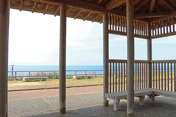 青山海浜公園