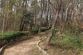 青山海浜公園